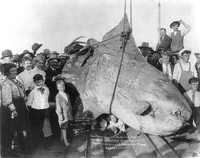 Foto memancing zaman dulu