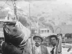 Foto Jadul Nelayan dan Tangkapannya Bikin Melotot