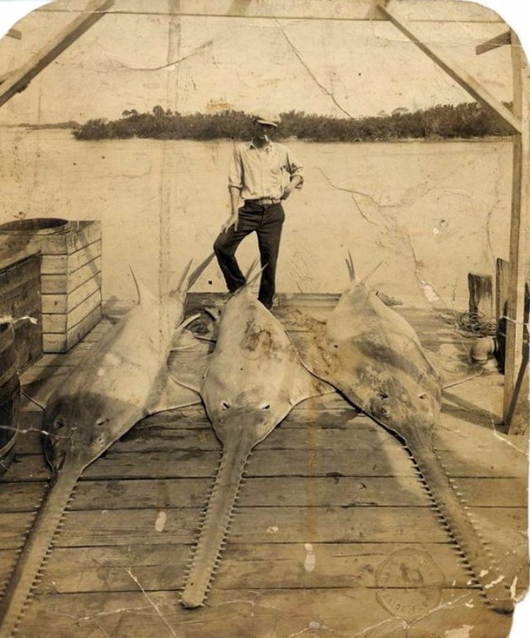 Foto memancing zaman dulu