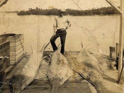 Foto Jadul Nelayan dan Tangkapannya Bikin Melotot