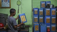 Pekerja menyusun kaleng yang berisi kue kering pada sentra Usaha Mikro Kecil dan Menengah (UMKM) Pusaka Kwitang di Jalan Inspeksi Kali Ciliwung, Kwitang, Jakarta, Rabu (5/4/2023). Pelaku usaha tersebut menyatakan menjelang lebaran Idul Fitri 2023, kue kering yang dijual dengan harga Rp80 ribu per kilogramnya tersebut mengalami peningkatan sekitar 30 persen jika dibandingkan tahun lalu. ANTARA FOTO/M Risyal Hidayat  