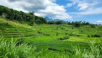 Perjalanan Blitar menuju Batu via Pujon sangat eksotis. Memberikan pesona landscape Jawa yang masih otentik.
