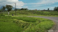 Jalan mendaki dan menurun silih berganti membangun cerita perjalanan yang eksotis di rute Jawa Timur bagian tengah itu. 