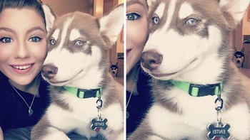 Waduh ada yang mau ikutan foto nih. Foto: (Bored Panda).