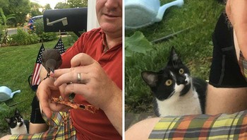 Kenapa kucingnya melotot gitu ya? Foto: (Bored Panda).