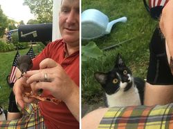 Potret Hewan Peliharaan Cemburu ke Pemiliknya, Gemas Banget