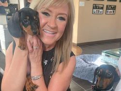 Potret Hewan Peliharaan Cemburu ke Pemiliknya, Gemas Banget