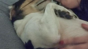 Ada yang ngintip tuh... Foto: (Bored Panda).