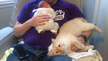 Kucingnya ikut-ikutan minta dipeluk. Foto: (Bored Panda).