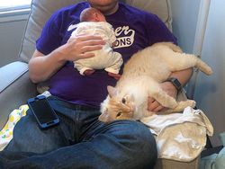 Potret Hewan Peliharaan Cemburu ke Pemiliknya, Gemas Banget