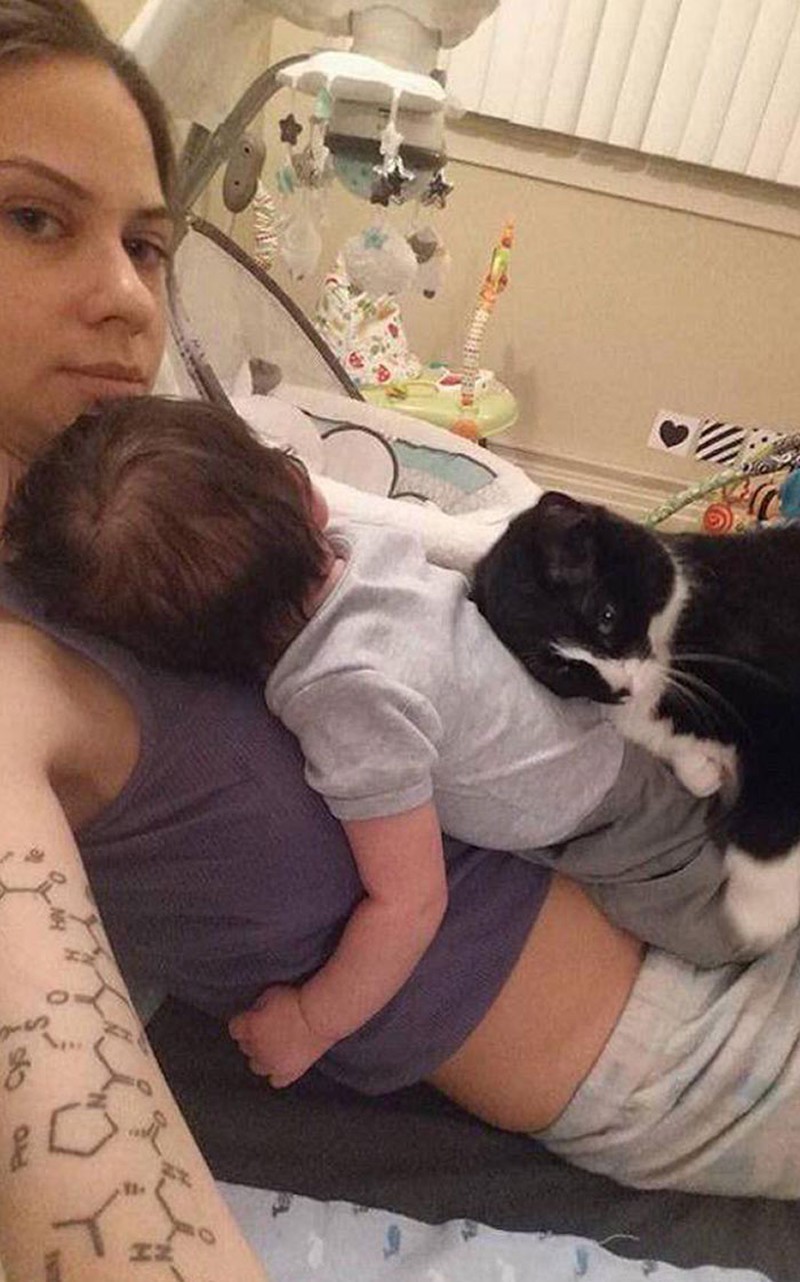 Melihat manusia cemburu dengan manusia lainnya, mungkin detikers sudah sering melihatnya. Namun bagaimana kalau yang cemburu itu hewan peliharaan ke pemiliknya.