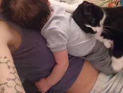 Potret Hewan Peliharaan Cemburu ke Pemiliknya, Gemas Banget