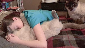 Kasian kucing yang satunya nggak dipeluk. Foto: (Bored Panda).