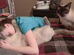 Potret Hewan Peliharaan Cemburu ke Pemiliknya, Gemas Banget