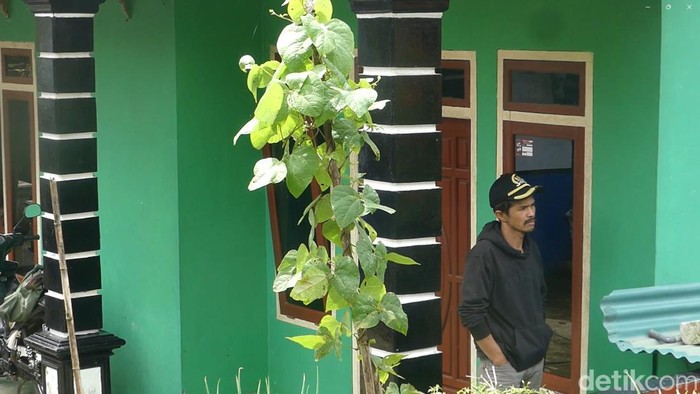 Rumah Mbah Slamet di Desa Balun Kecamatan Wanayasa Banjarnegara.