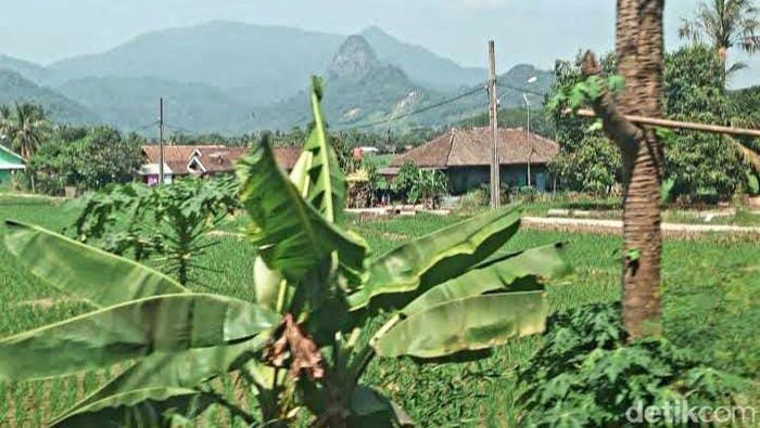 Sisi barat gunung Sanggabuana, saat di foto di Kampung Cibereum, Desa Buanajaya, Kecamatan Tanjungsari, Kabupaten Bogor