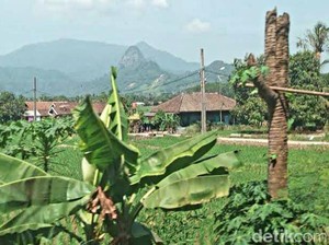 Pemkab Karawang Dukung Perubahan Status Sanggabuana Jadi Hutan Lindung