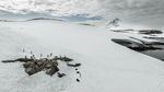 Foto-foto Ciamik Benua Antartika dari Lensa Drone