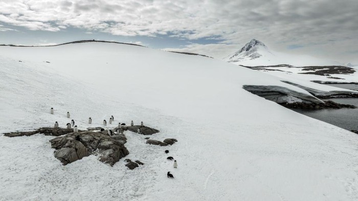 ANTARCTICA - FEBRUARY 24: An aerial view of crabeater seals laying on ice berg on Horseshoe Island as Turkish scientists conduct fieldwork on Horseshoe Island within 7th National Antarctic Science Expedition under the coordination of the Scientific and Technological Research Council of Turkiye (TUBITAK) MAM Polar Research Institute with the joint responsibilities of the Turkish Presidency and Turkish Ministry of Industry and Technology in Antarctica, on February 24, 2023. Turkish Scientists, left a minimum footprint on Antarctica,  Continent of Science and Peace took up the role of lifes guardians by averting harm to the continents environment and its surrounds. (Photo by Sebnem Coskun/Anadolu Agency via Getty Images)