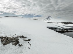Antartika Mengandung Harta Karun 50 Ribu Meteorit, Simpan Sejarah Tata Surya