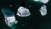 Antartika memiliki iklim yang sangat dingin dan kering. Suhu musim dingin di sepanjang pantai Antartika umumnya berkisar antara -10° hingga -30°C (14° hingga -22°F). Selama musim panas, daerah pesisir berkisar sekitar 0°C (32°F) tetapi dapat mencapai suhu setinggi 9°C (48°F).