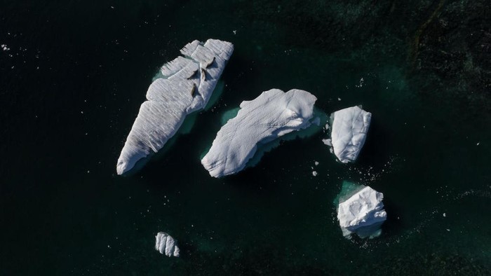 1250858855 ANTARCTICA - FEBRUARY 24: An aerial view of crabeater seals laying on ice berg on Horseshoe Island as Turkish scientists conduct fieldwork on Horseshoe Island within 7th National Antarctic Science Expedition under the coordination of the Scientific and Technological Research Council of Turkiye (TUBITAK) MAM Polar Research Institute with the joint responsibilities of the Turkish Presidency and Turkish Ministry of Industry and Technology in Antarctica, on February 24, 2023. Turkish Scientists, left a minimum footprint on Antarctica,