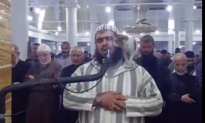Kucing melompat ke pundak imam saat tarawih