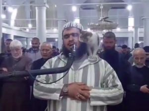 Gemasnya Kucing di Pundak Imam Salat, RK Kunjungi Rumah Viral