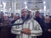Apakah Salat Batal Jika Digigit atau Dijilat Kucing?