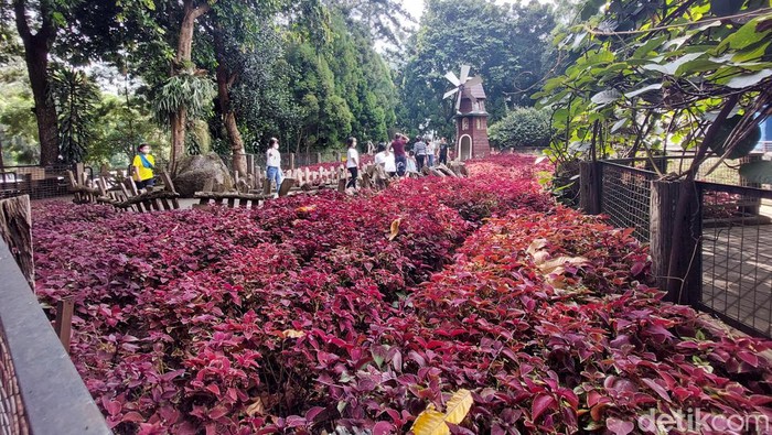 Lokasi wisata di Lembang Bandung Barat.