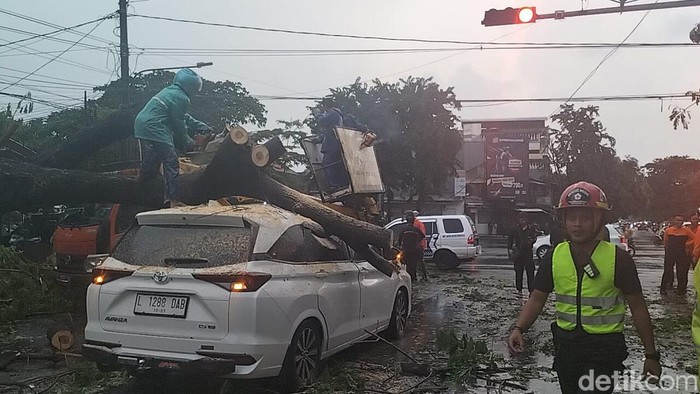 Hujan Angin, 3 Kendaraan di Surabaya Tertimpa Pohon Tumbang