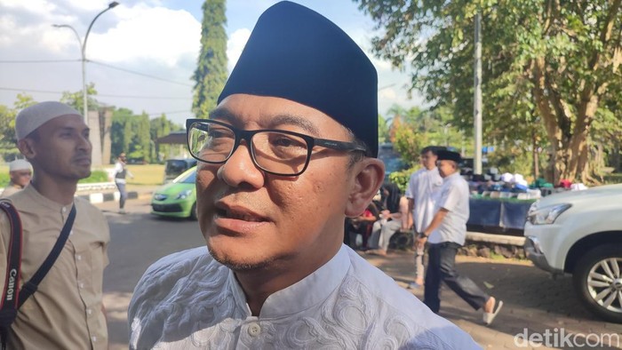 Plt Bupati Bogor Iwan Setiawan (Rizky Adha Mahendra/detikcom)