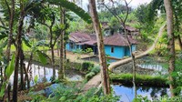 Jika mau berjalan lebih jauh, traveler bisa menikmati suasana pedesaan khas Sunda. Rumah-rumah di sini banyak yang memiliki empang atau kolam ikan.