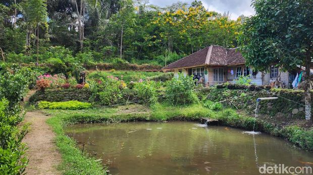 Rumah Abah Jajang Cianjur