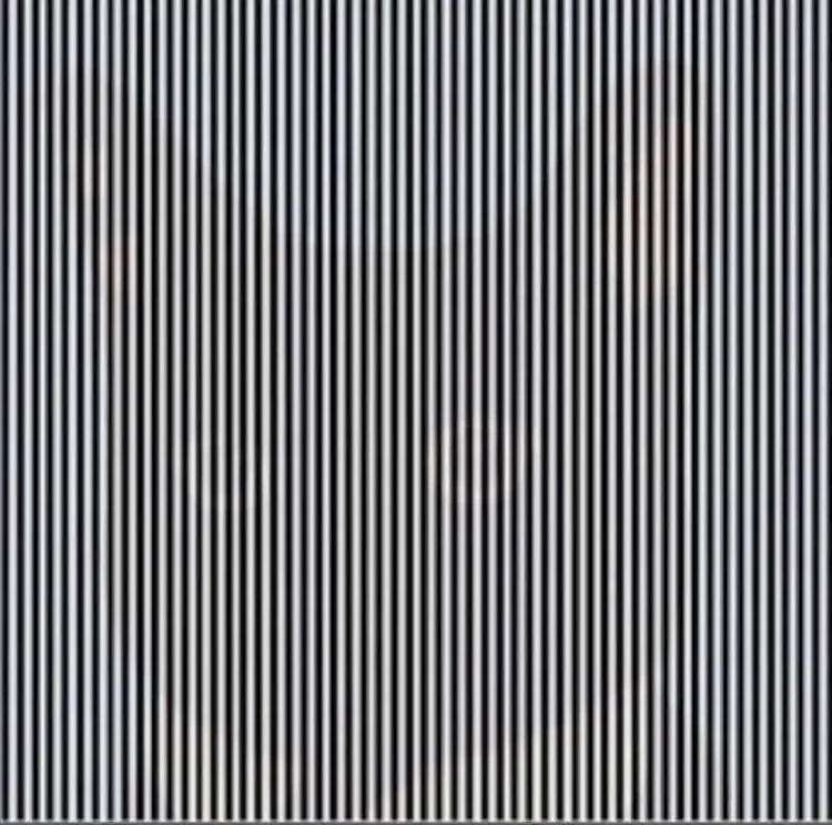 Tes Fokus Saat Puasa, Kira-kira Kalian Kegocek Gambarnya Ini Nggak? Detikers tes kejelian mata saat puasa yuk. Kira-kira kalian bisa jawab dengan benar dari gambar-gambar ilusi berikut tidak? Buktikan kalau kalian masih fokus.