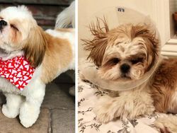 Kocak! Aneka Foto di Instagram Sebelum dan Setelah Kejadian