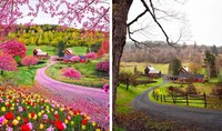fotoinet Kocak! Begini Kala Pengguna Posting Foto di Instagram Sebelum dan Setelahnya