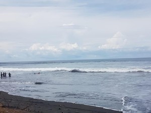 Terkendala Air Pasang, Proses Nekropsi Paus Mati Tertunda