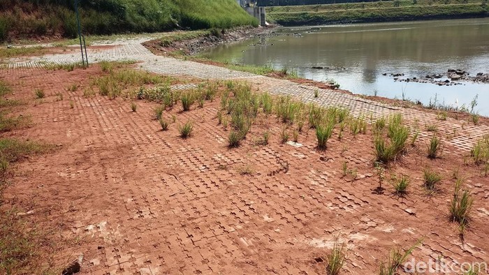 Kondisi Waduk Brigif yang disorot DPRD DKI (Adrial Akbar/detikcom)