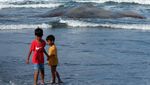 Paus Sperma Mati Terdampar di Pantai Yeh Leh Bali