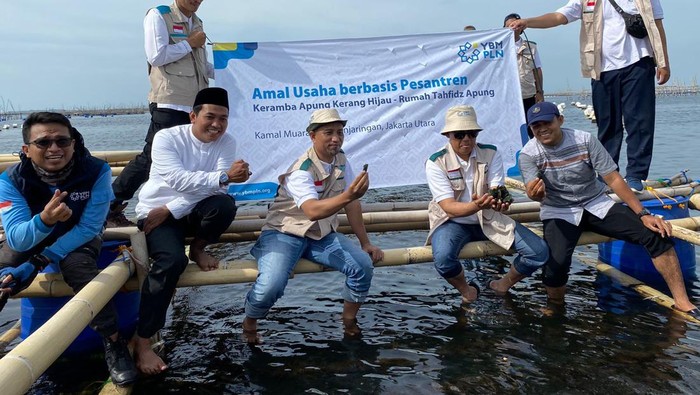 PLN
