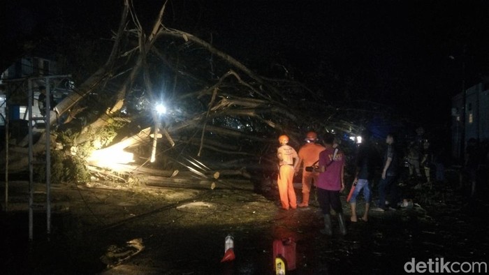 Pohon tumbang di samping kantor BPBD Majalengka.
