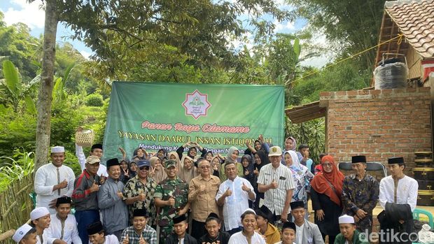 Suasana panen raya kacang edamame di wilayah perkebunan Pondok Pesantren Darul Insan Istiqamah, Kabupaten Sukabumi