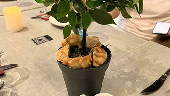 Gyoza di dalam sebuah pot tanaman. FotoL bertthadonk via Bored Panda