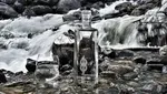 Mahal! Air Mineral Sultan Ini Ada yang Harganya Rp 1,5 M per Botol