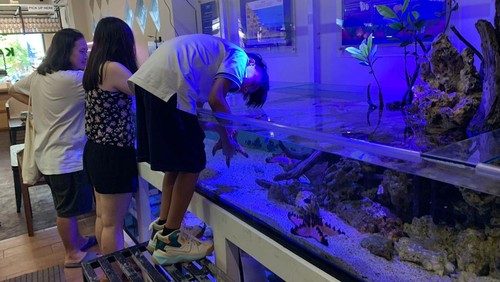 Bali Reef Aquarium berlokasi di Jalan Hang Tuah No.42, Sanur Kaja, Denpasar Selatan, Bali, Minggu (9/4/2023). (Siti Mu’amalah)