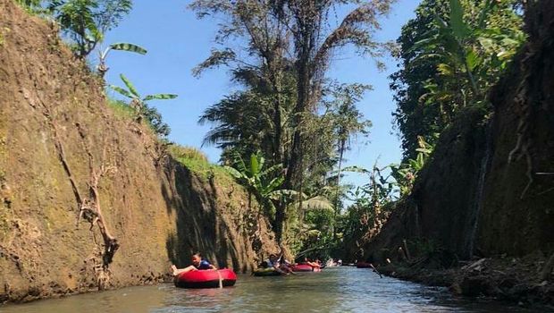 Bermain air menyusuri sawah, tebing dan hutan desa di Desa Penarungan, Kecamatan Mengwi, Badung. (IST)