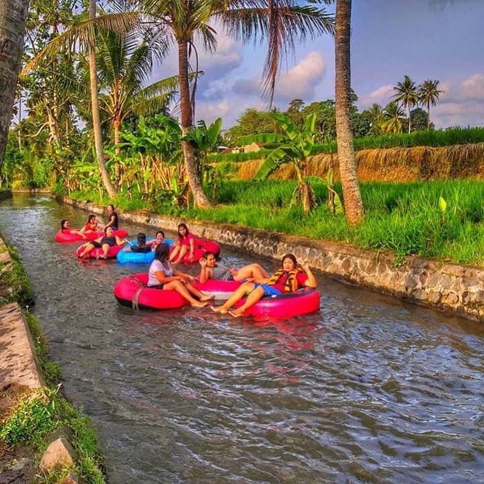 Bermain air menyusuri sawah, tebing dan hutan desa di Desa Penarungan, Kecamatan Mengwi, Badung. (IST)