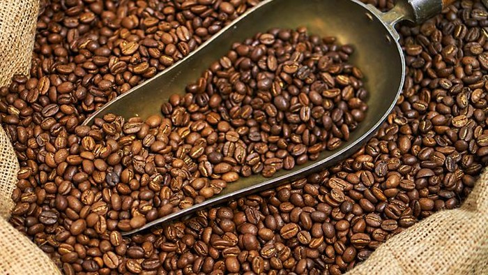 Ini 5 Cara Mudah Mengenali Biji Kopi Berkualitas Baik