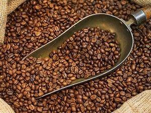 10 Negara Penghasil Kopi Terbesar di Dunia, Indonesia Nomor Berapa?